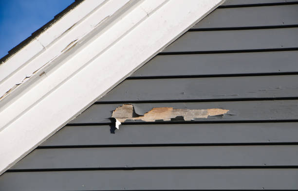 Storm Damage Siding Repair in Lopezville, TX