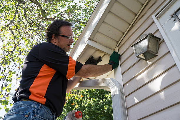 Best Historical Building Siding Restoration  in Lopezville, TX